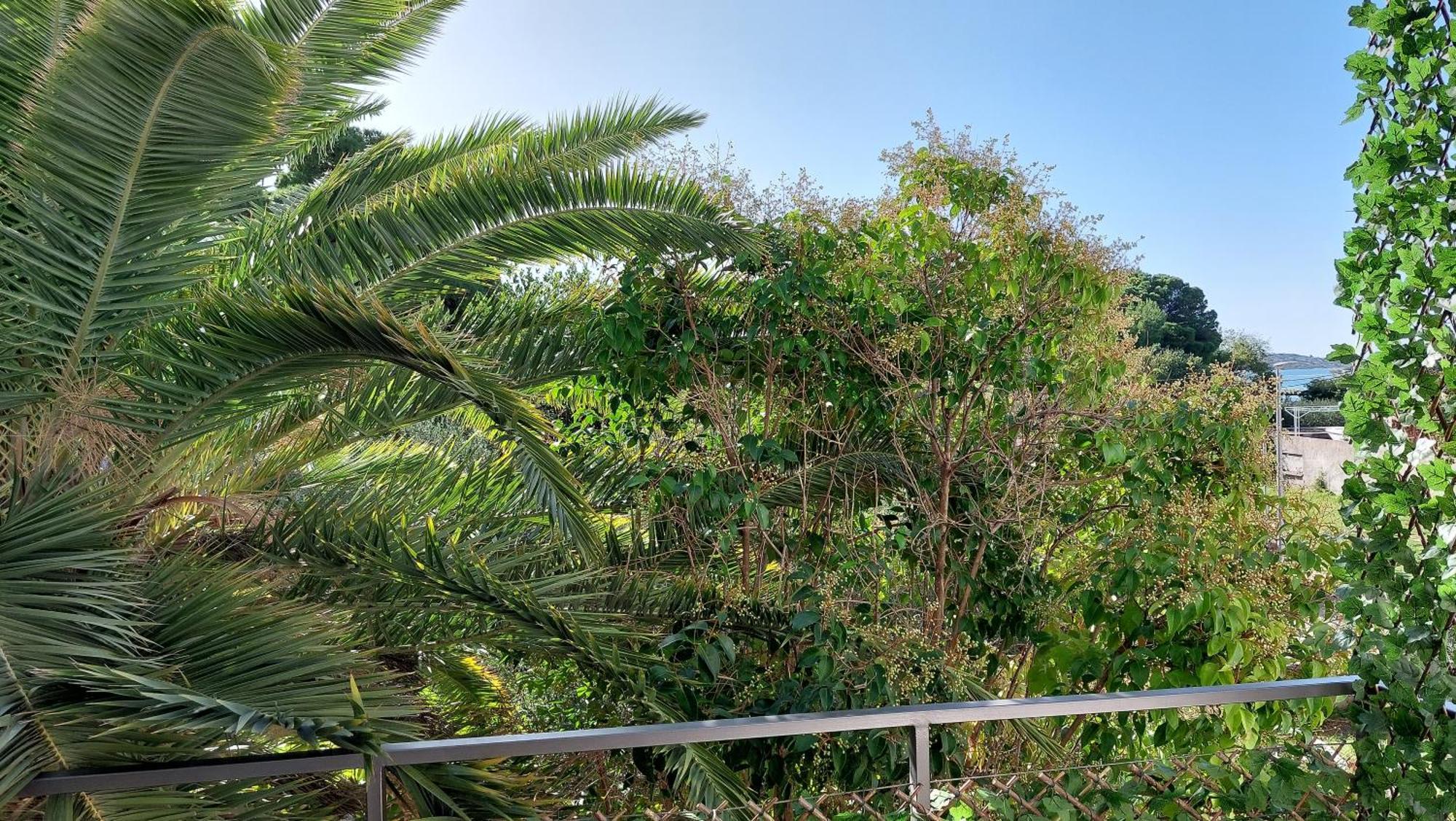 Refresh Boutique Apartments Vodice Bilik gambar